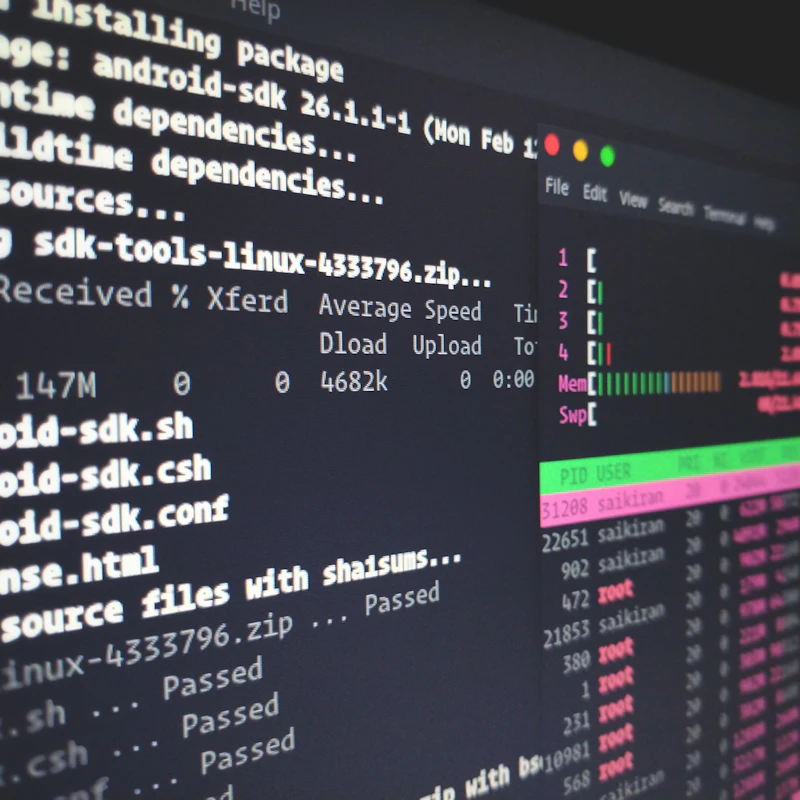 IT Developer